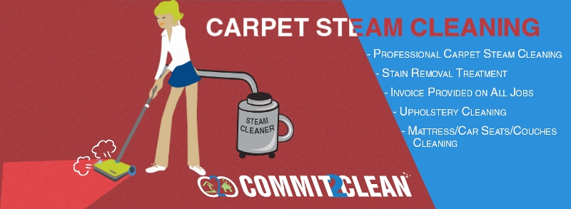 Carpet Cleaning