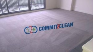 Carpet Cleaning Services