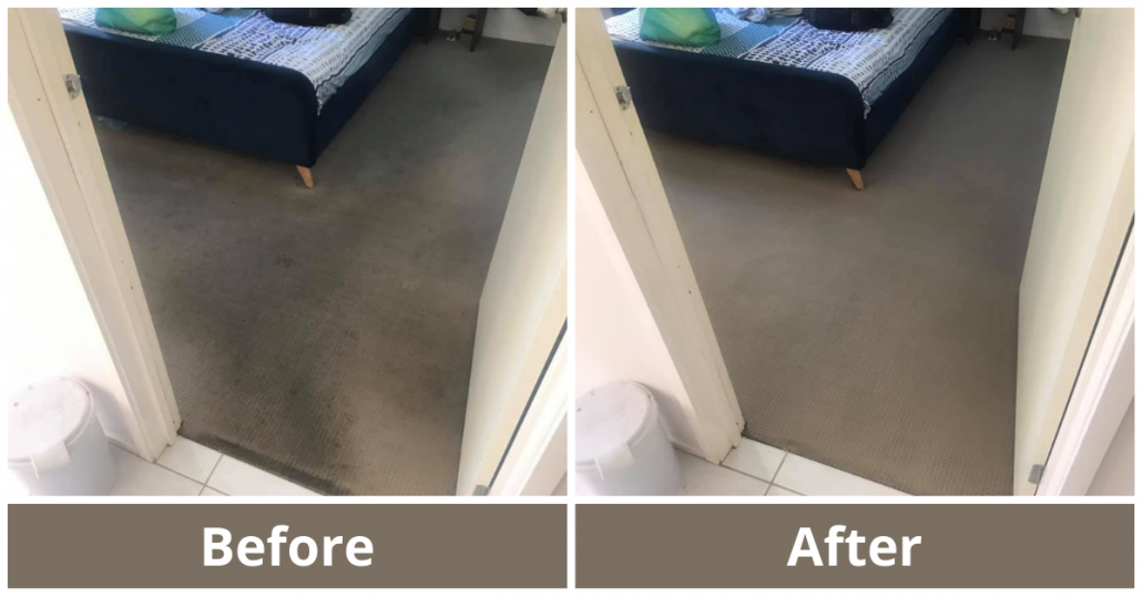 Before after carpet cleaning